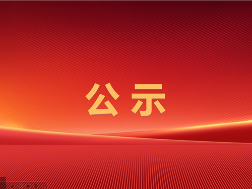 辰龍集團2024年事故隱患排查治理臺賬